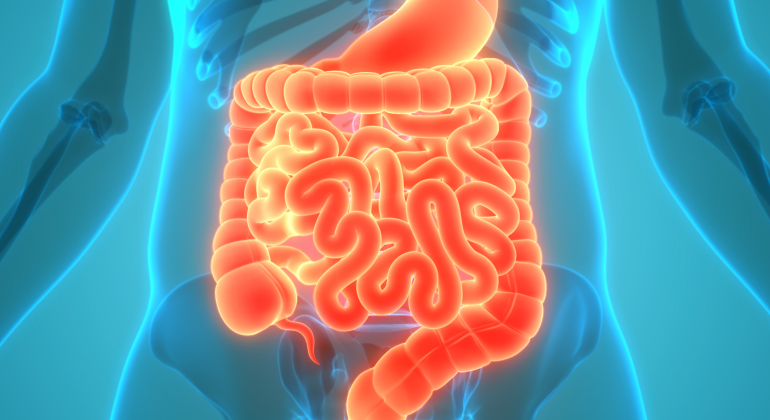 Ayurvedic Solutions for Gut Health