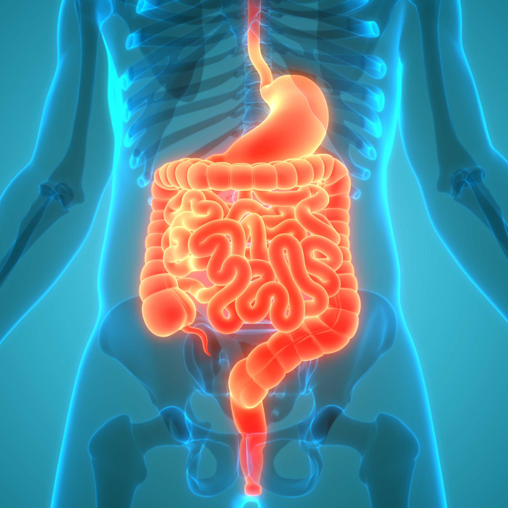 Ayurvedic Solutions for Gut Health