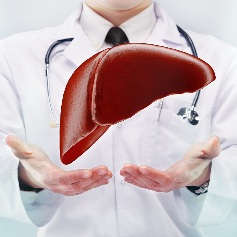 ayurveda for healthy liver